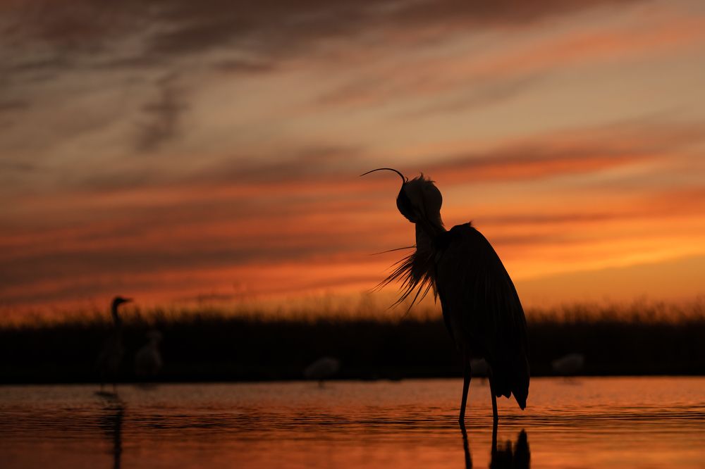 Photograph by Alena Bednarova