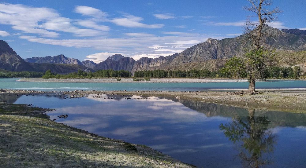 Photograph by Любовь Фурс