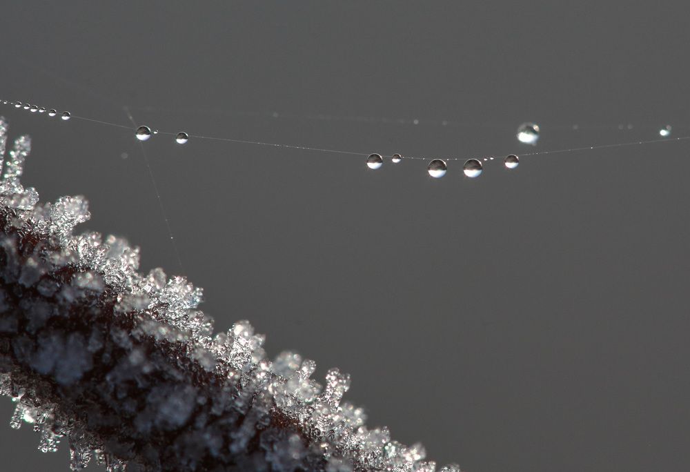 Photograph by Сергей Корнильев