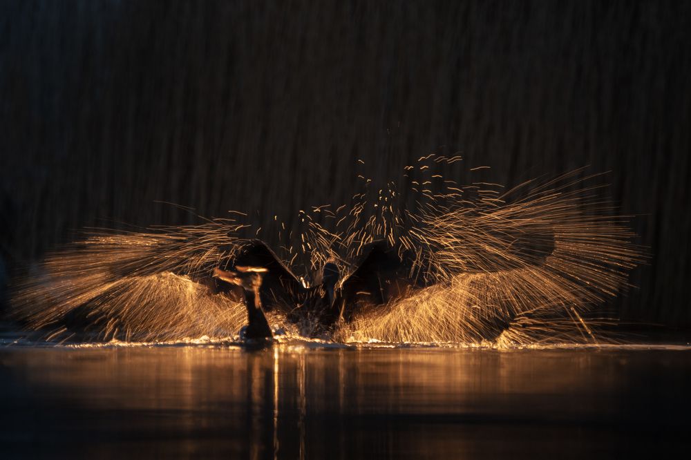 Photograph by Alena Bednarova