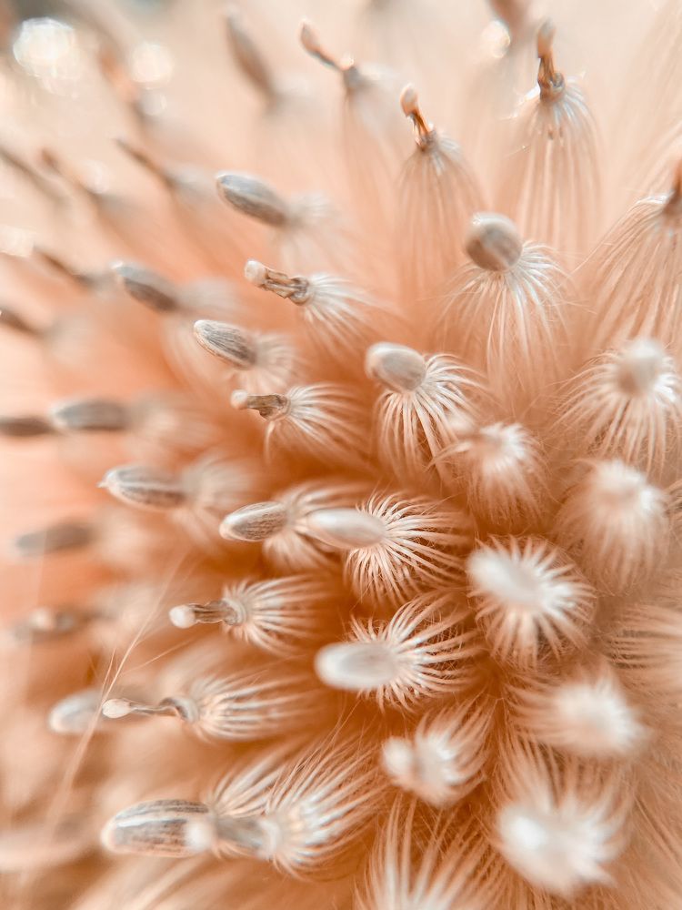 Photograph by Анна Бобкова