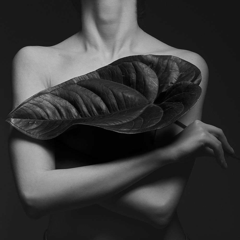 Leaf and Body