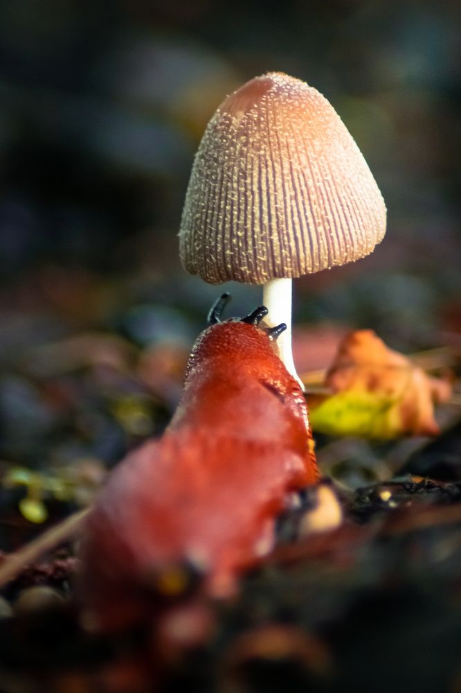 Photograph by Patryk George