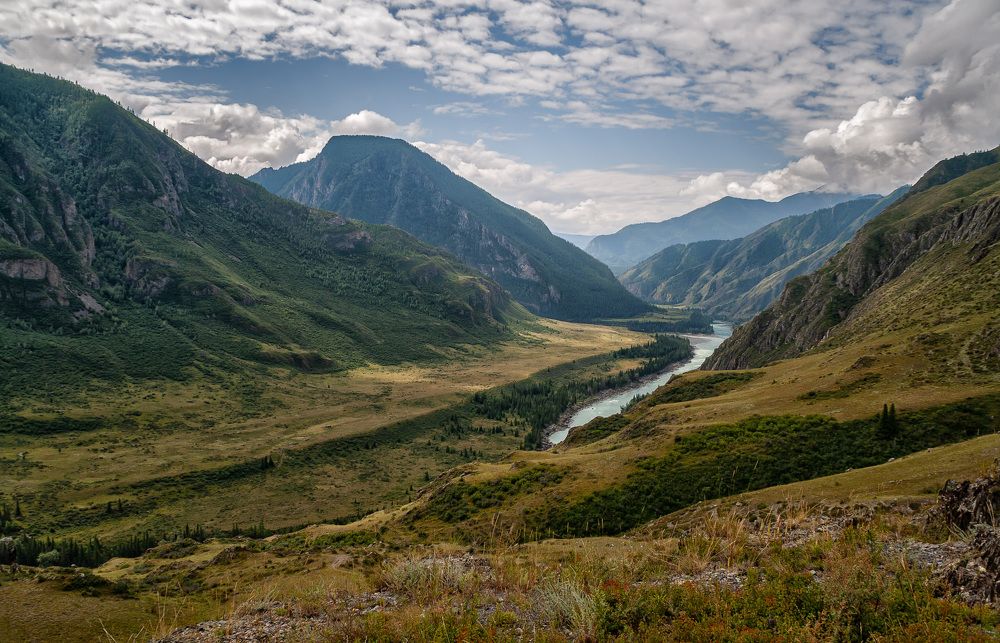 Photograph by Любовь Фурс