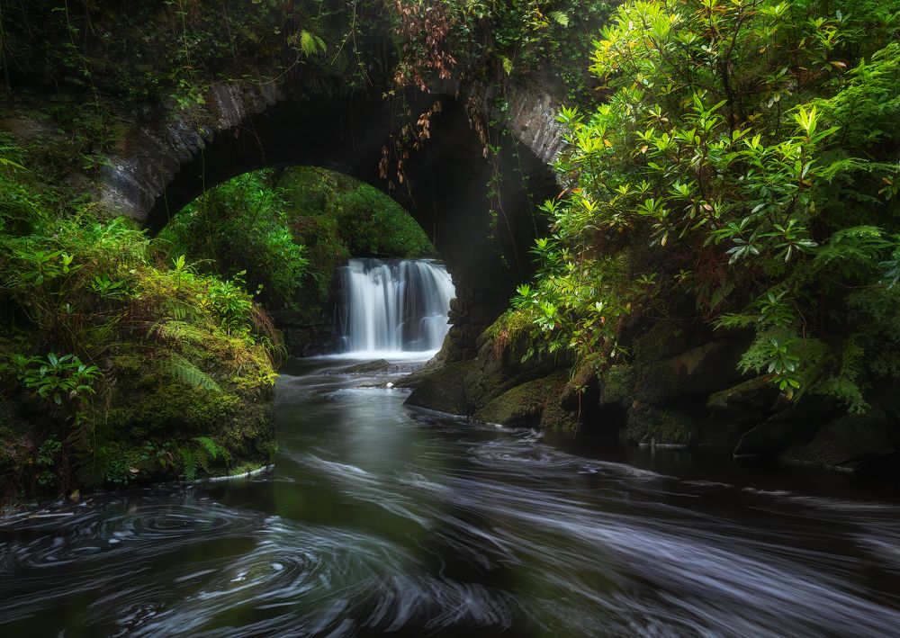 Photograph by silvester kalcik