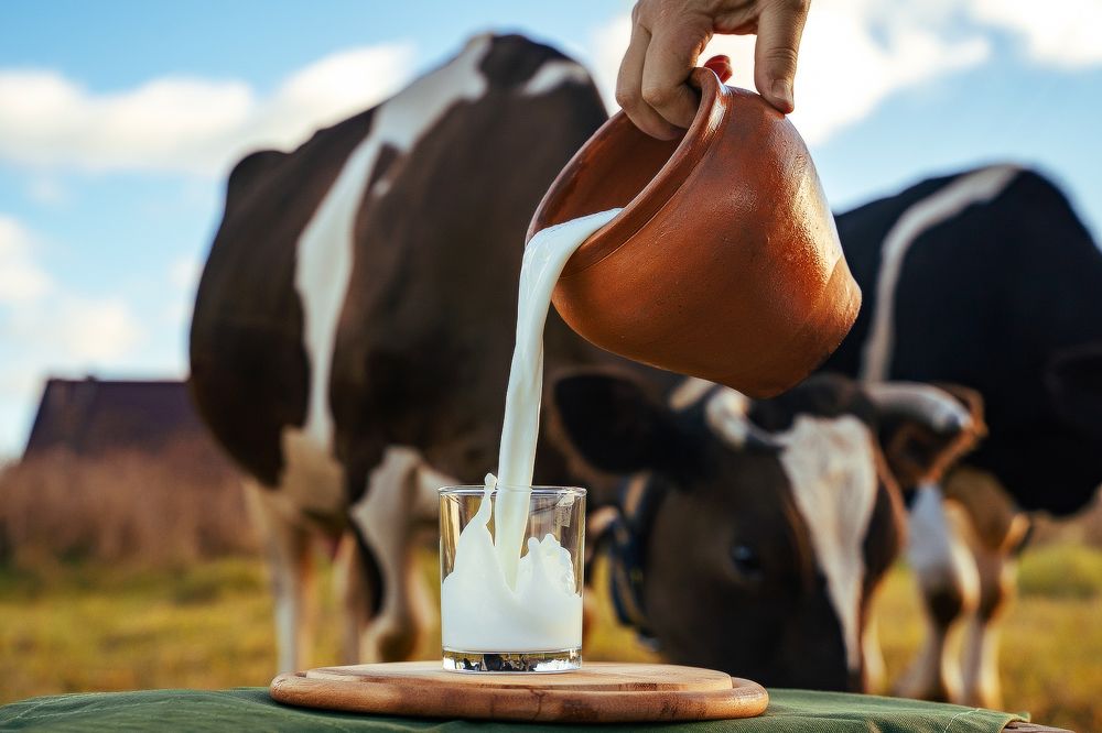 Photograph by Леонид Смирнов