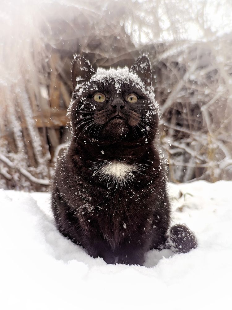 Photograph by Сергей Колос