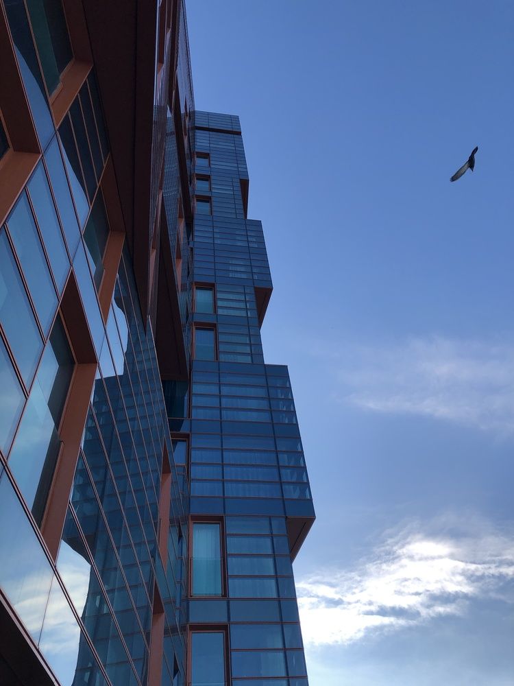 Фотография автора Наталья Кирпичёва