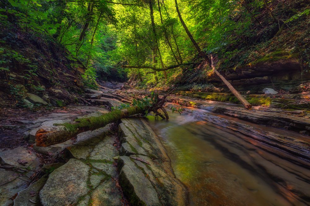 Photograph by Александр Аседач