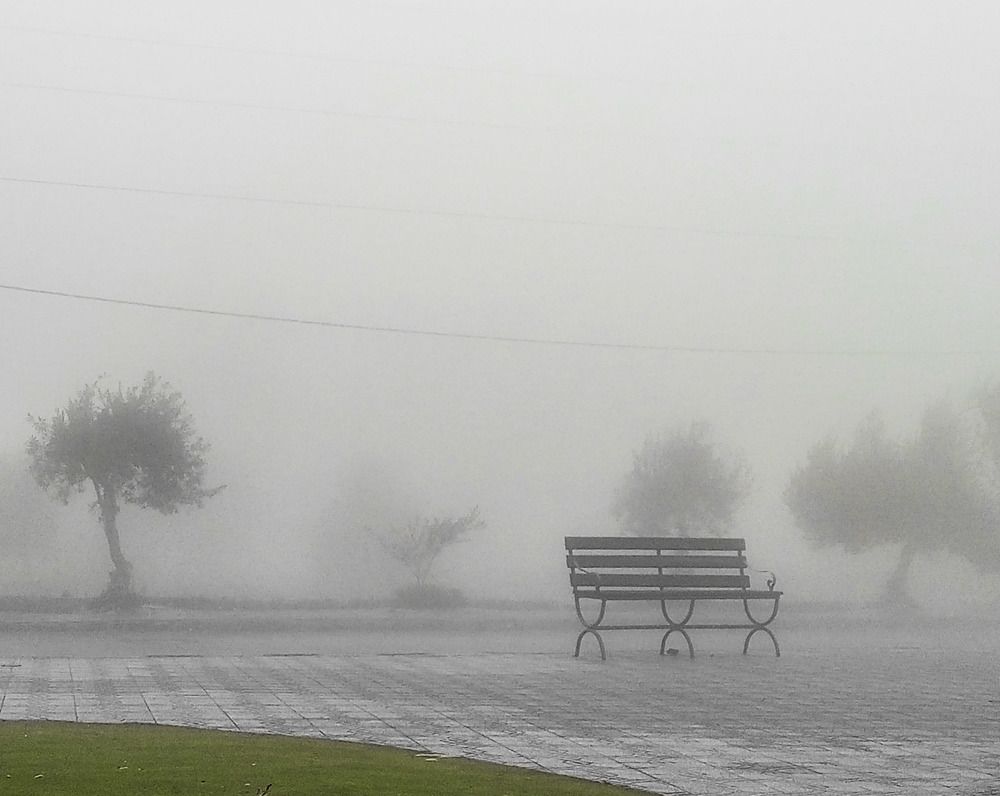 Photograph by Jafar Yahia