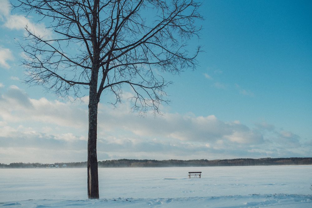 Photograph by Ольга Капустина