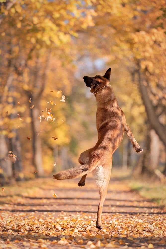 Photograph by Irina Kovaleva