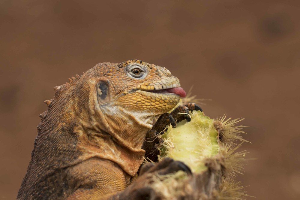 Photograph by Deniz muzaffer Gokmen