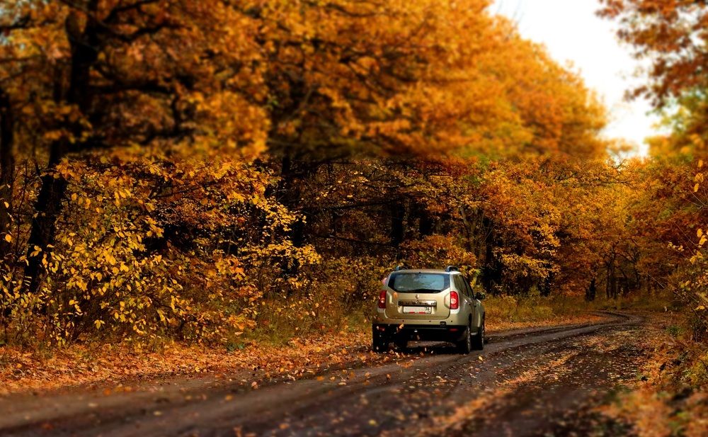 Photograph by Юлия Черкасова