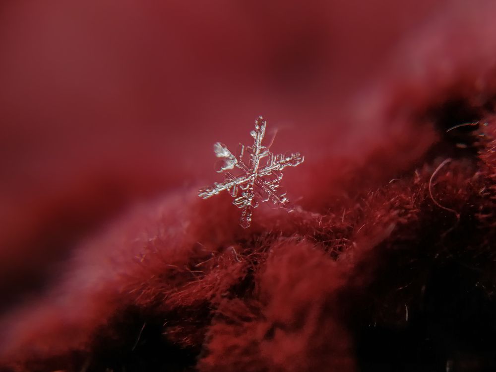 Photograph by Надежда Алешечкина