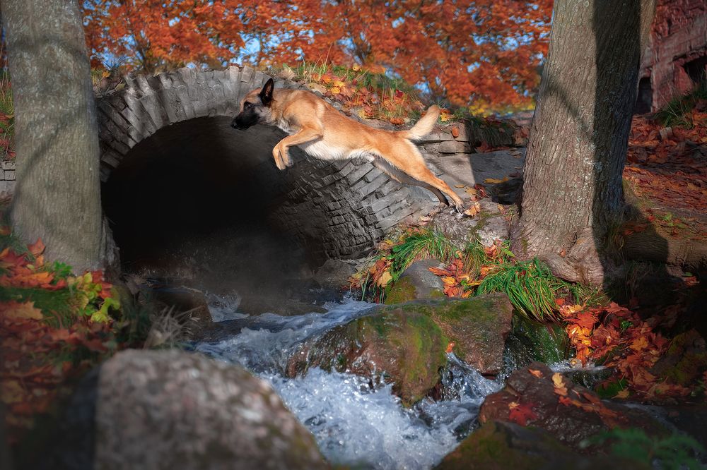 Photograph by Irina Kovaleva