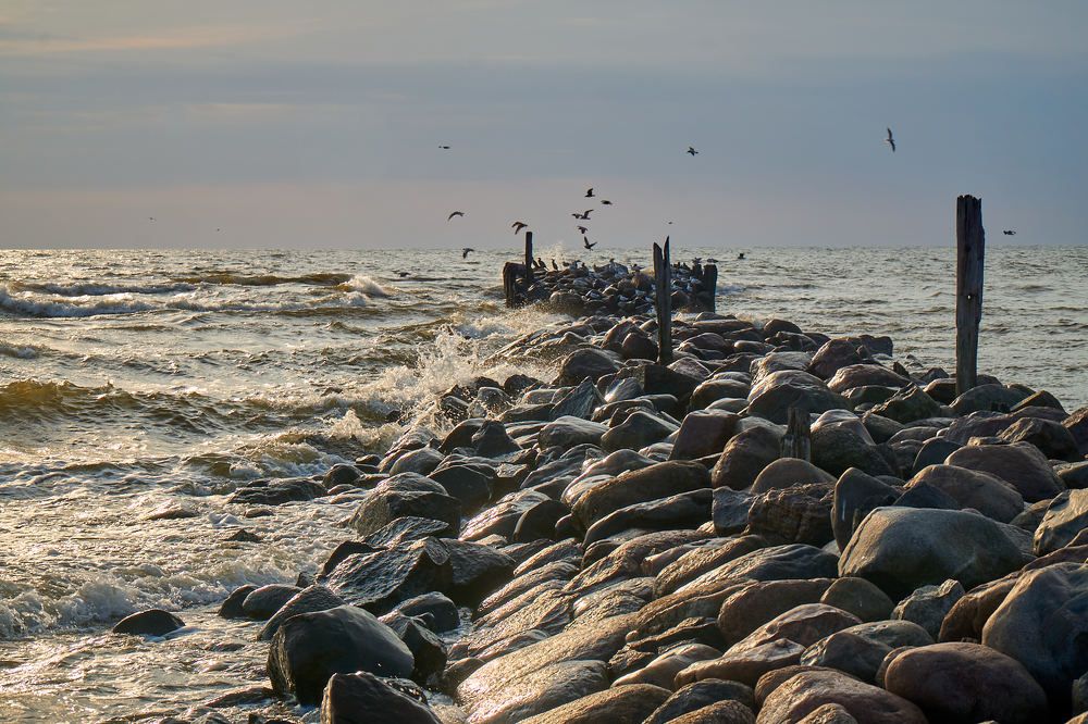 Фотография автора Igors Selivanovs