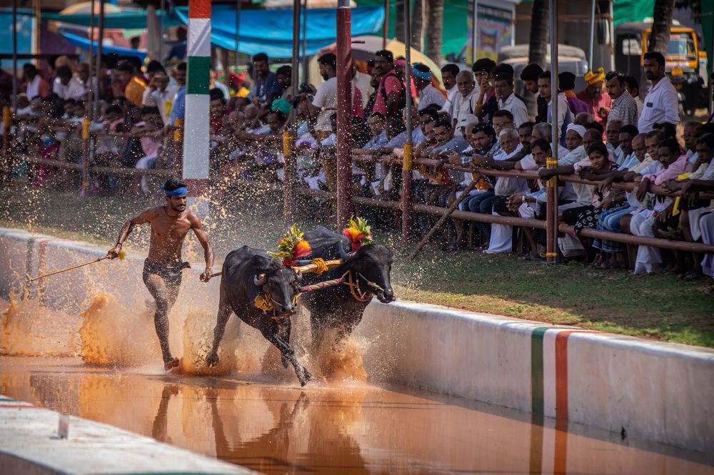 Photograph by Md Sabbir