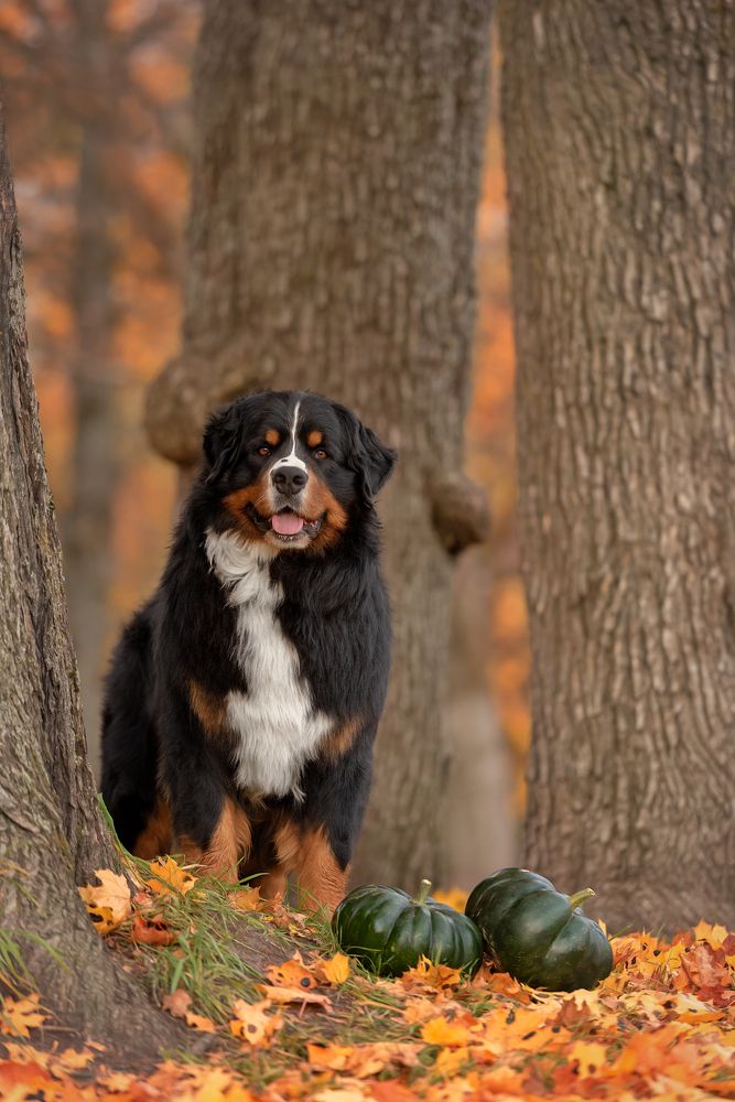 Photograph by Irina Kovaleva