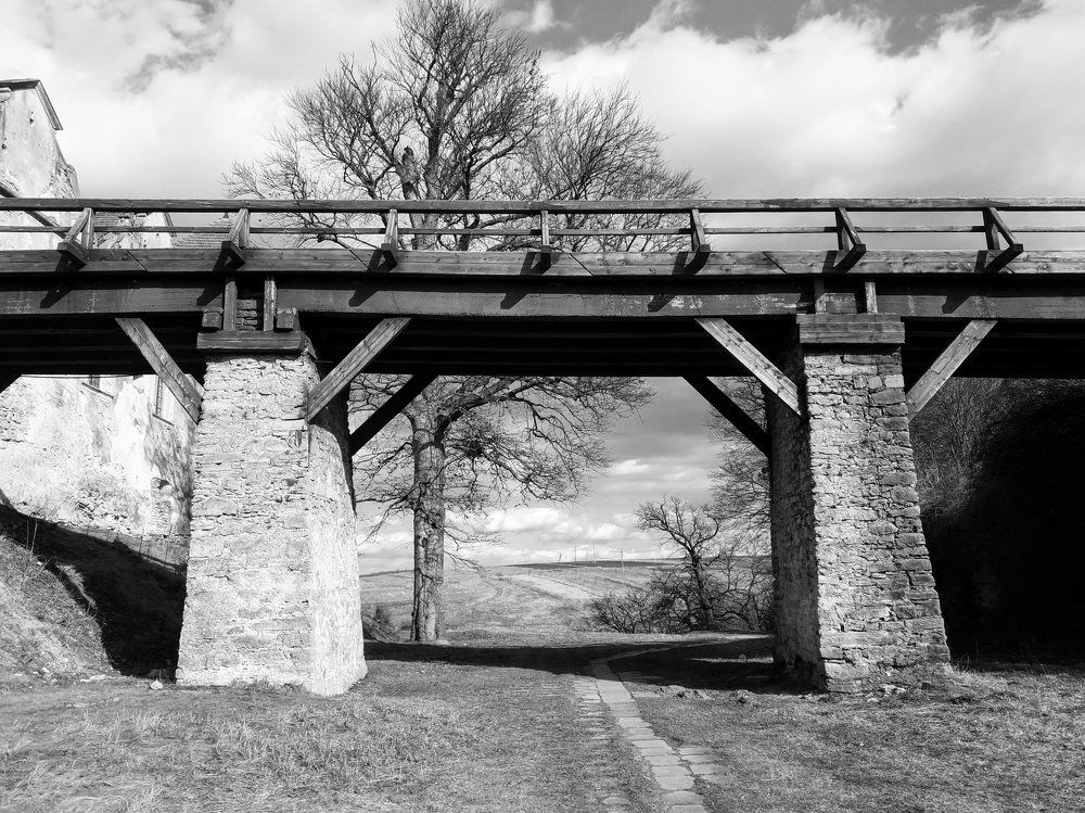 Photograph by Helen Seleznova