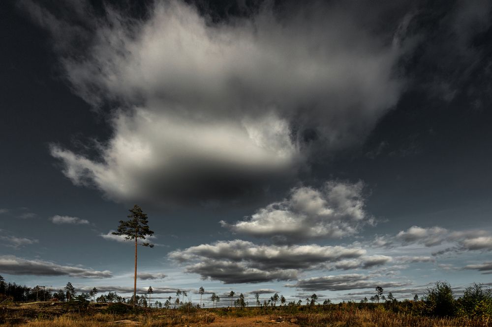 Фотография автора Алексей Туренков