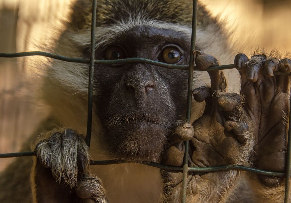 Photograph by Lyudmila Kalyagina