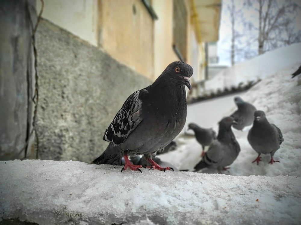 Photograph by Ирина Саттарова