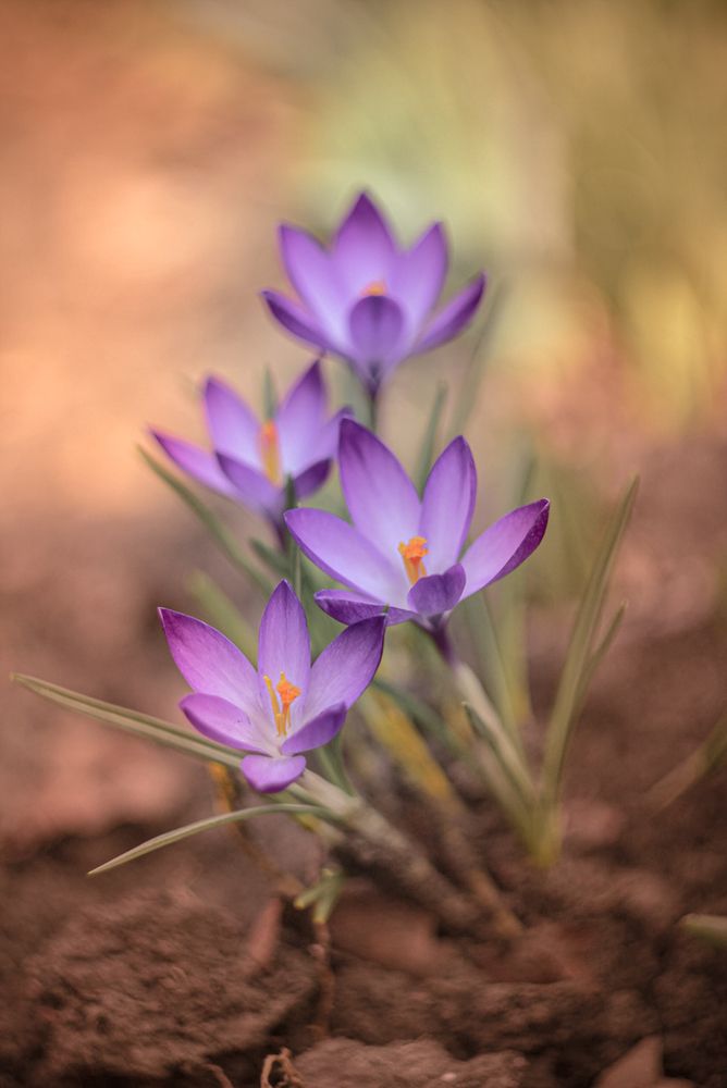 Photograph by Анна Тен