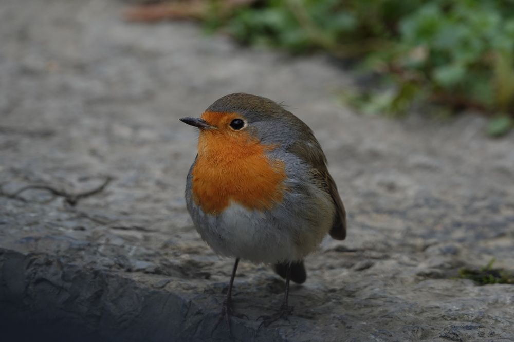 Photograph by ertan sercan