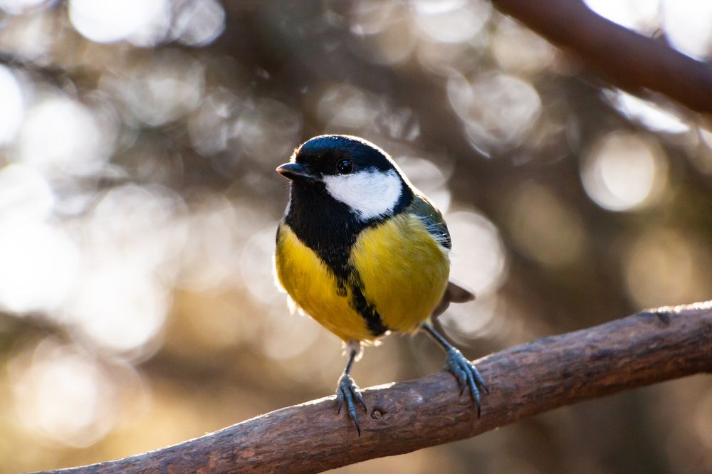 Photograph by Мария