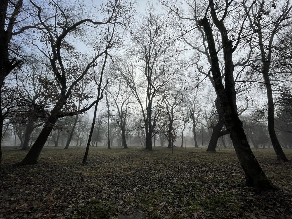 Photograph by Юлиана Бозиева