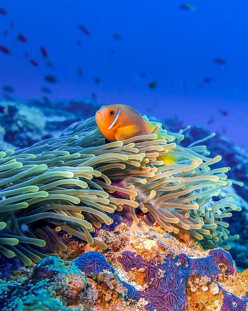 Photograph by Илья Труханов