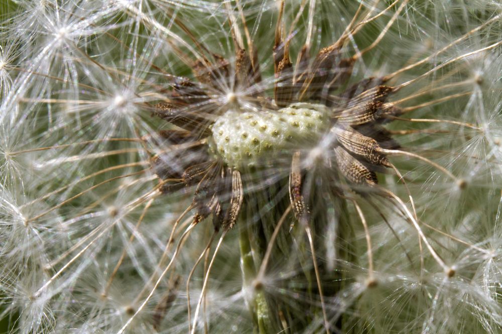 Photograph by Богдан Бигун