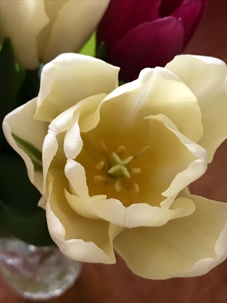 Photograph by Анар Амирова