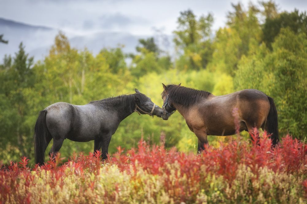 Photograph by Александр Козинцев
