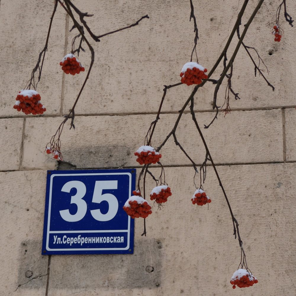 Зимние зарисовки