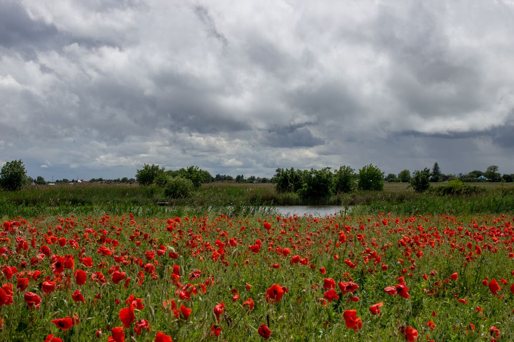 Photograph by Редько Александр