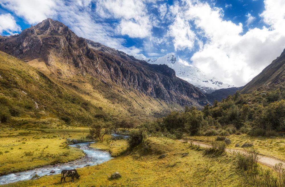 Photograph by Александр Леньков