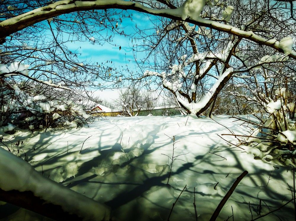 Photograph by Леонид Борисенко