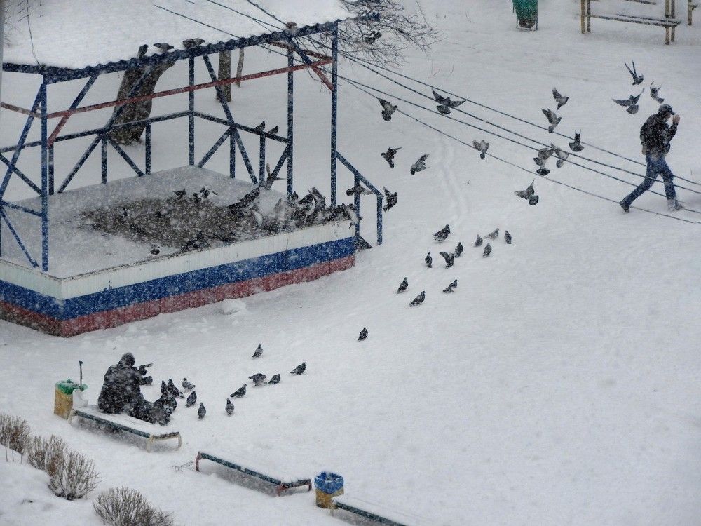 Photograph by Andrey Matveenko