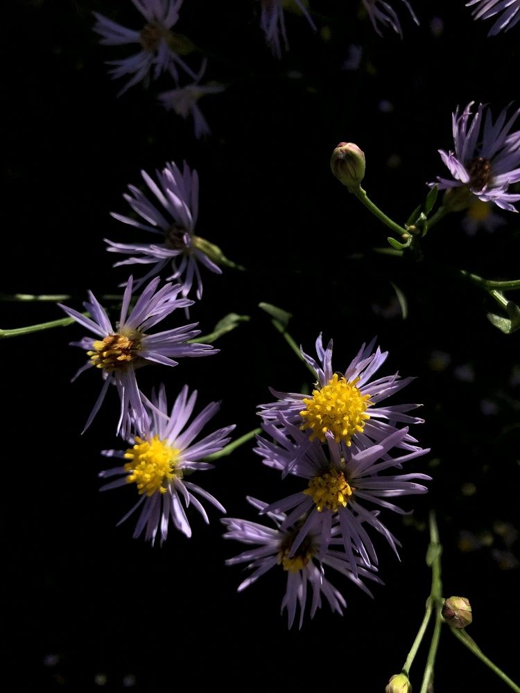 Hope In The Darkness