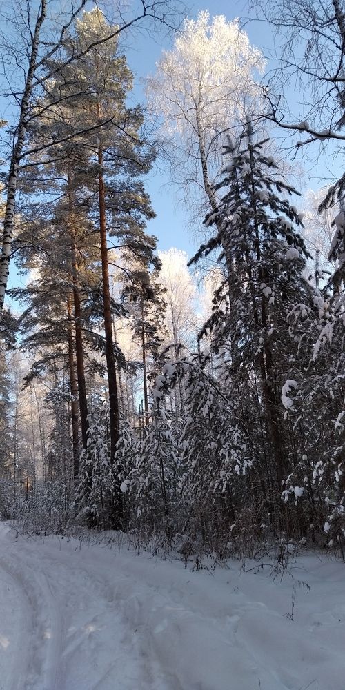 Photograph by Анастасия Маркова
