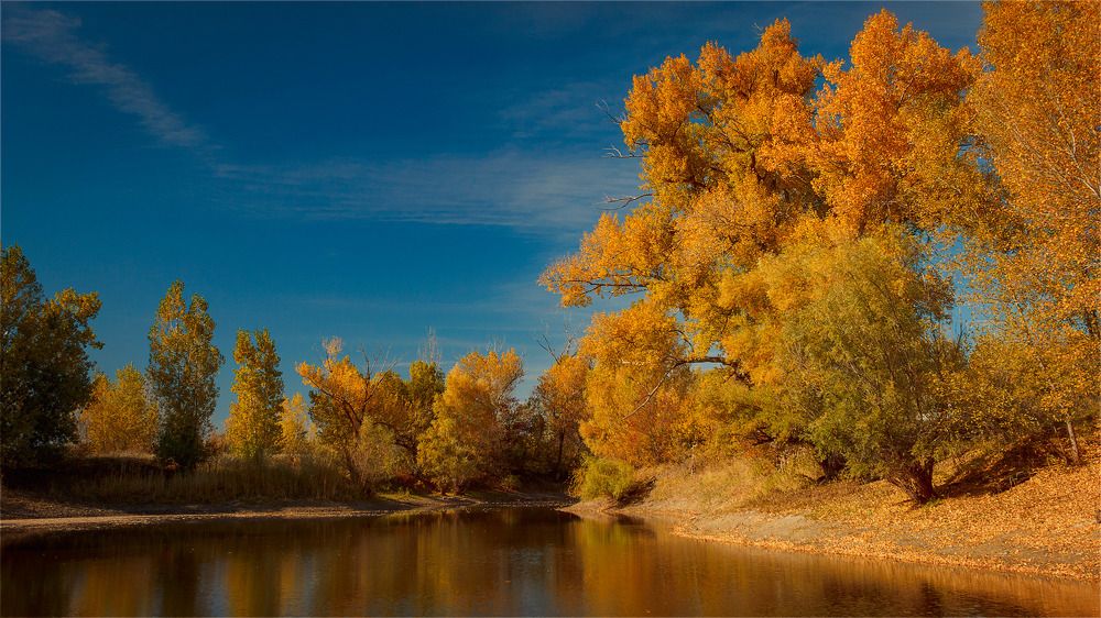 осень золотая