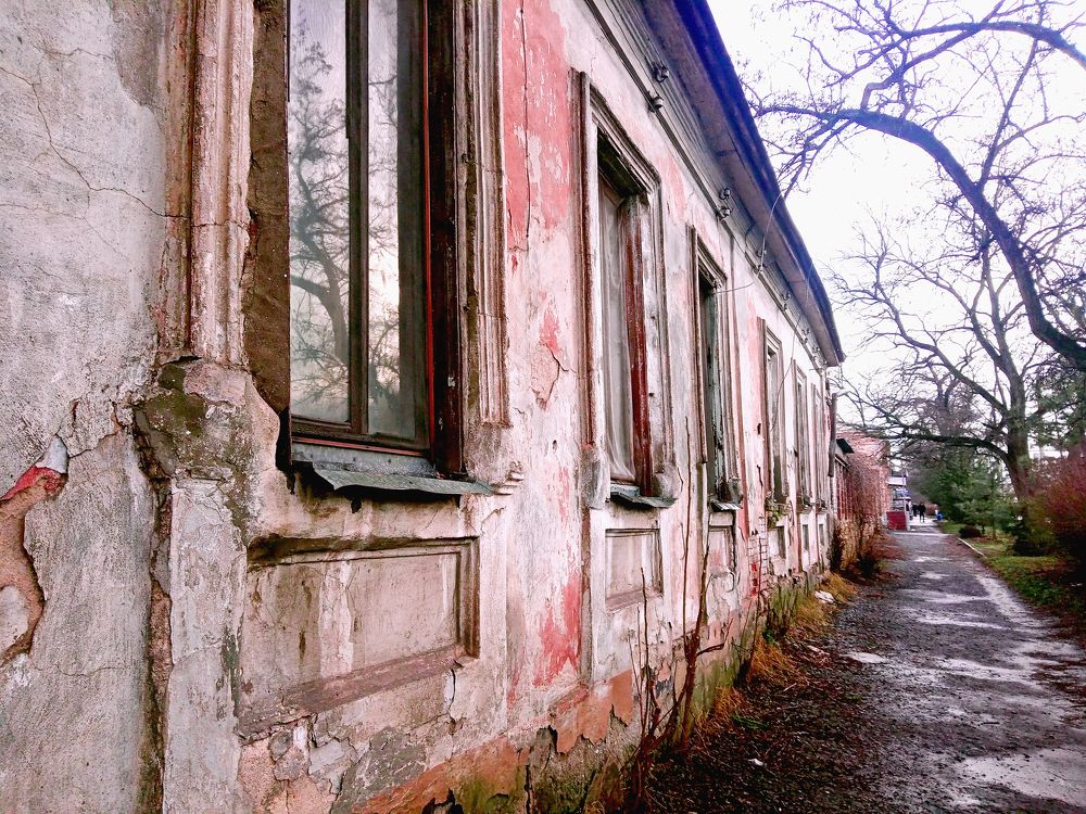 Photo #7345312