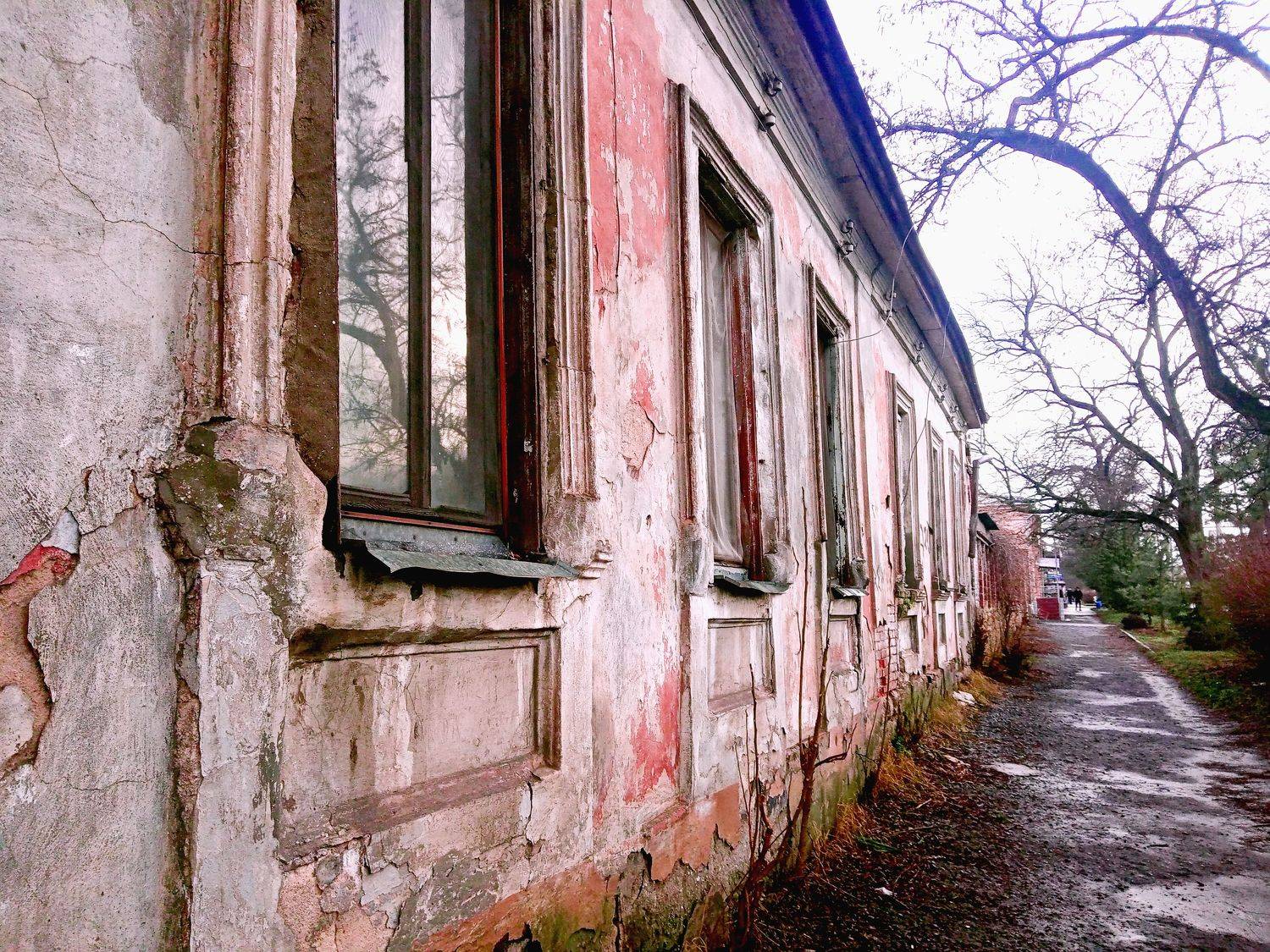 Photo #7345312