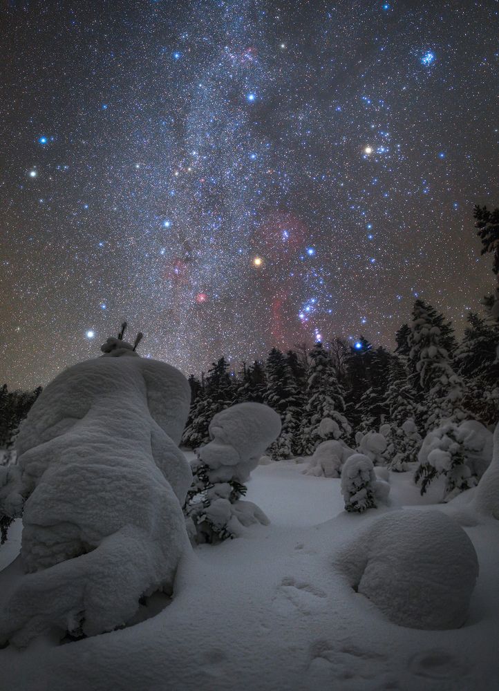 Фотография автора Антон Комлев