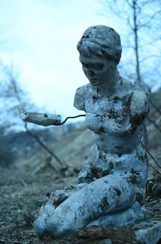 Photograph by Сергей