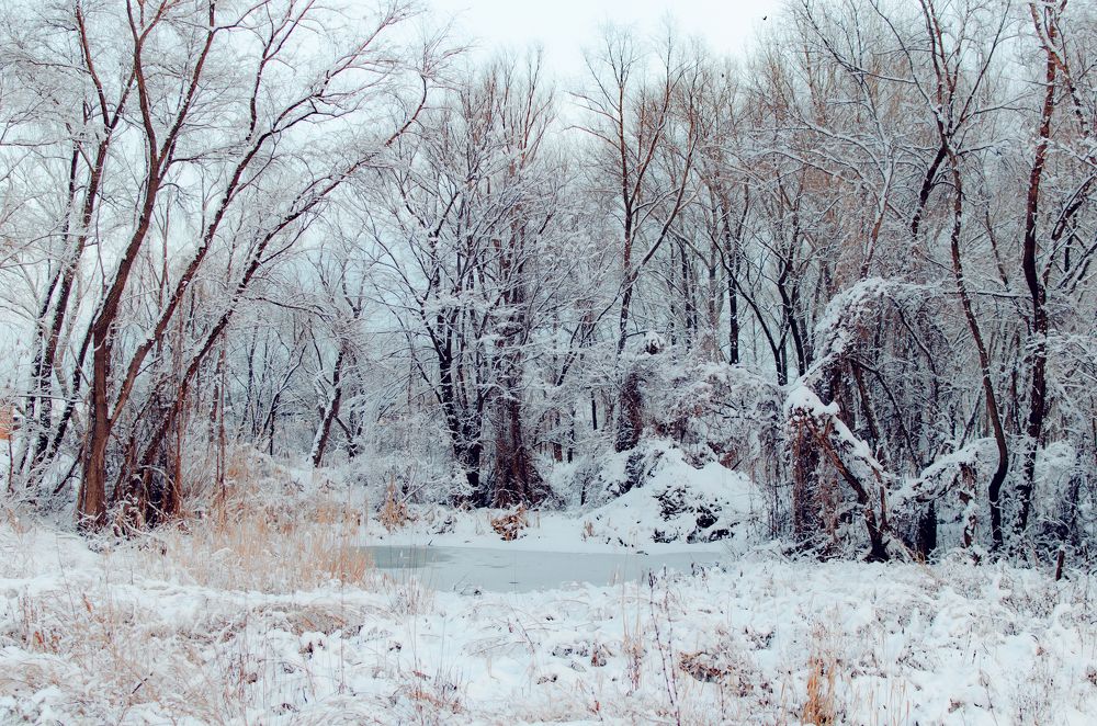 Photograph by Алиса Володченкова