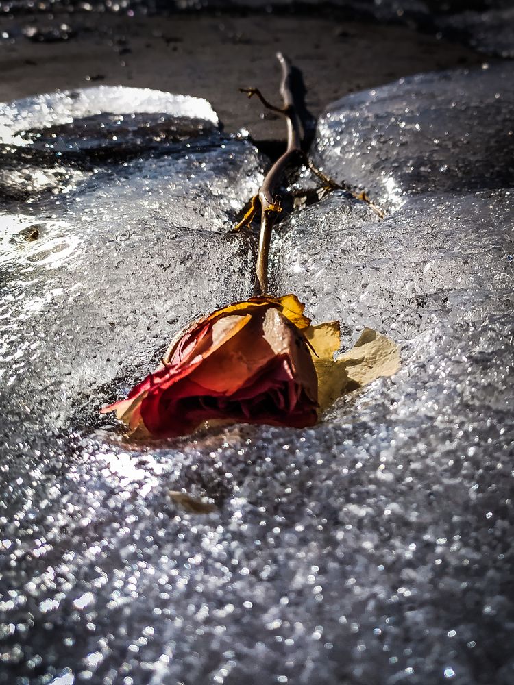 Photograph by Виктор Поверенов