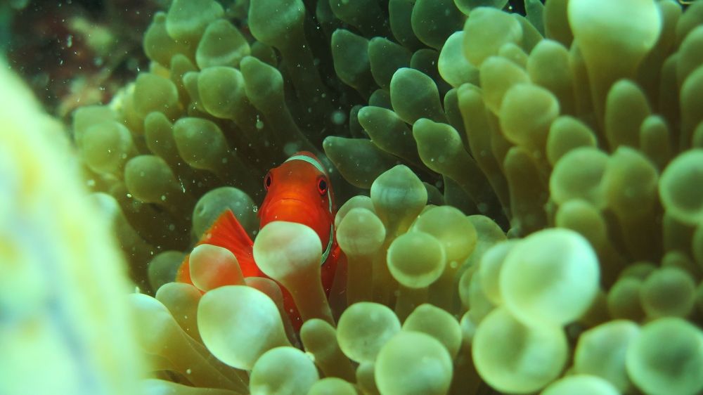 Photo #7345400